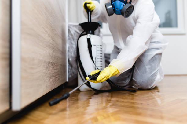 Best Rat Extermination Near Me  in Brooksville, FL