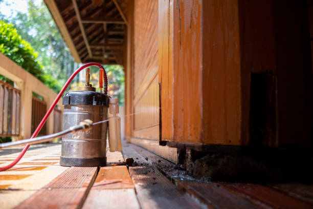Best Pest Removal Services  in Brooksville, FL