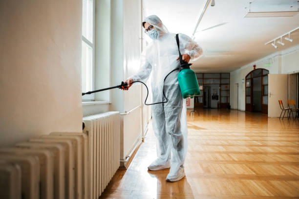 Best Termite Control Services  in Brooksville, FL