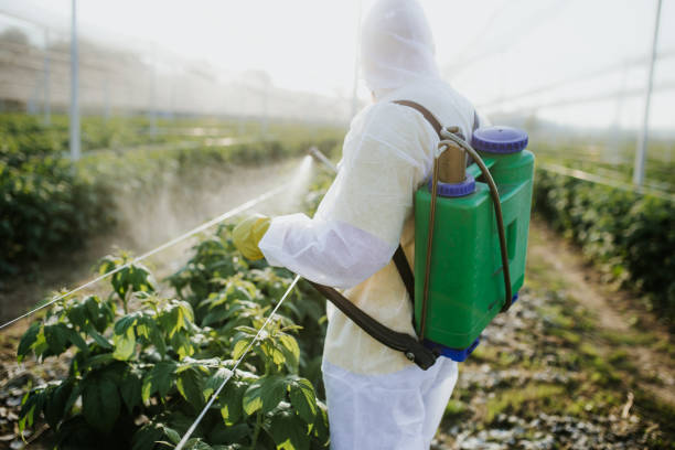 Pest Control for Restaurants in Brooksville, FL